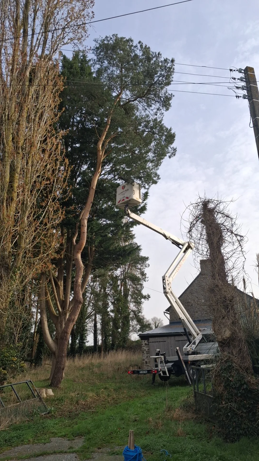 Zone dégagée après élagage — JMW Entreprise Mayenne