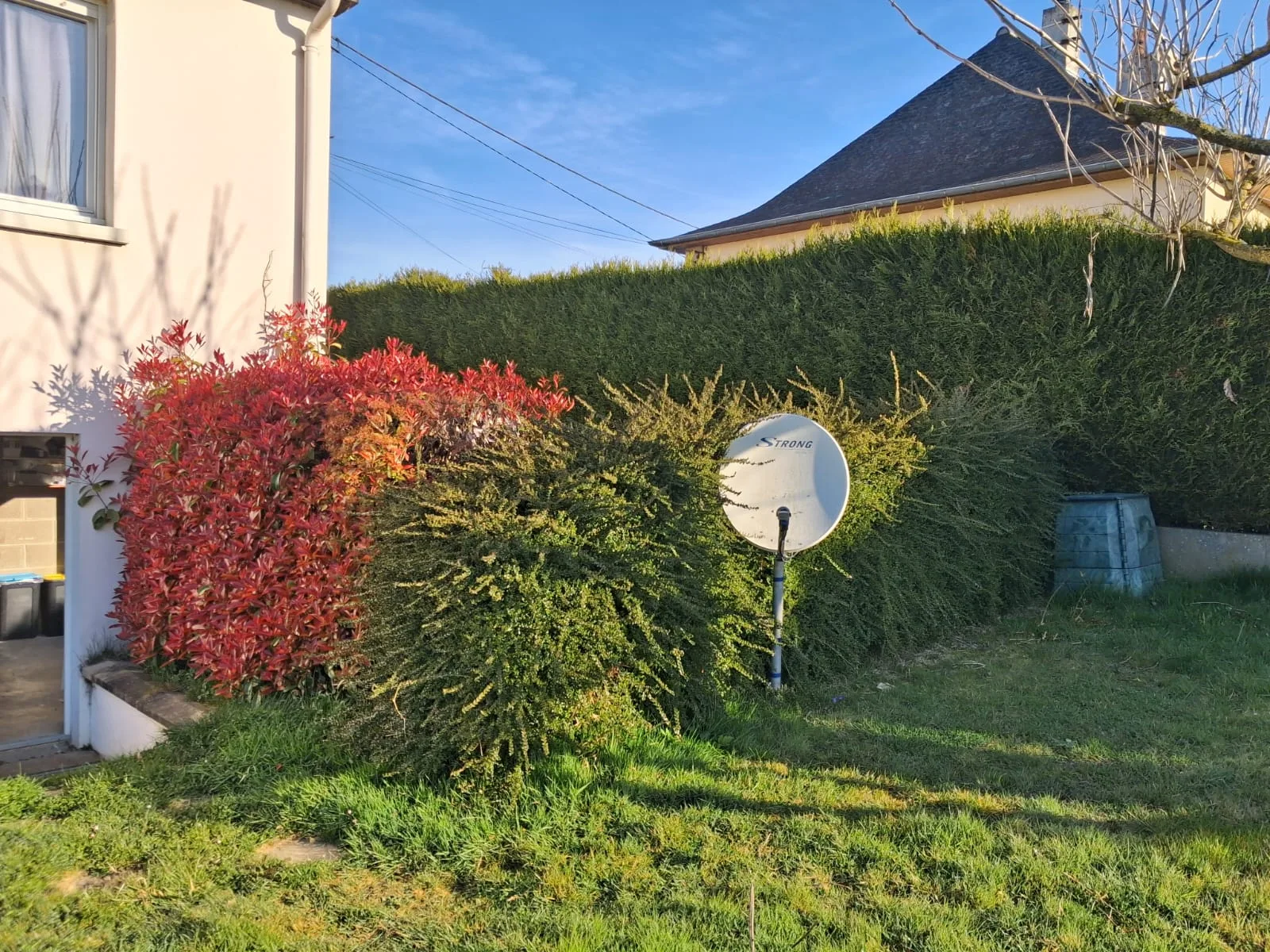 Haie avant taille professionnelle — JMW Entreprise Laval
